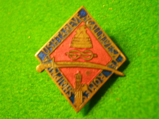 Italian Fascist Albanian service lapel badge.