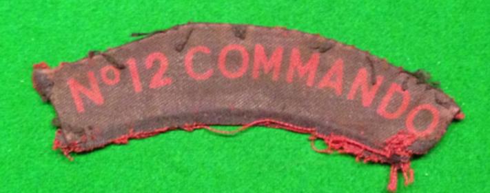 Printed 12 Commando Shoulder title.